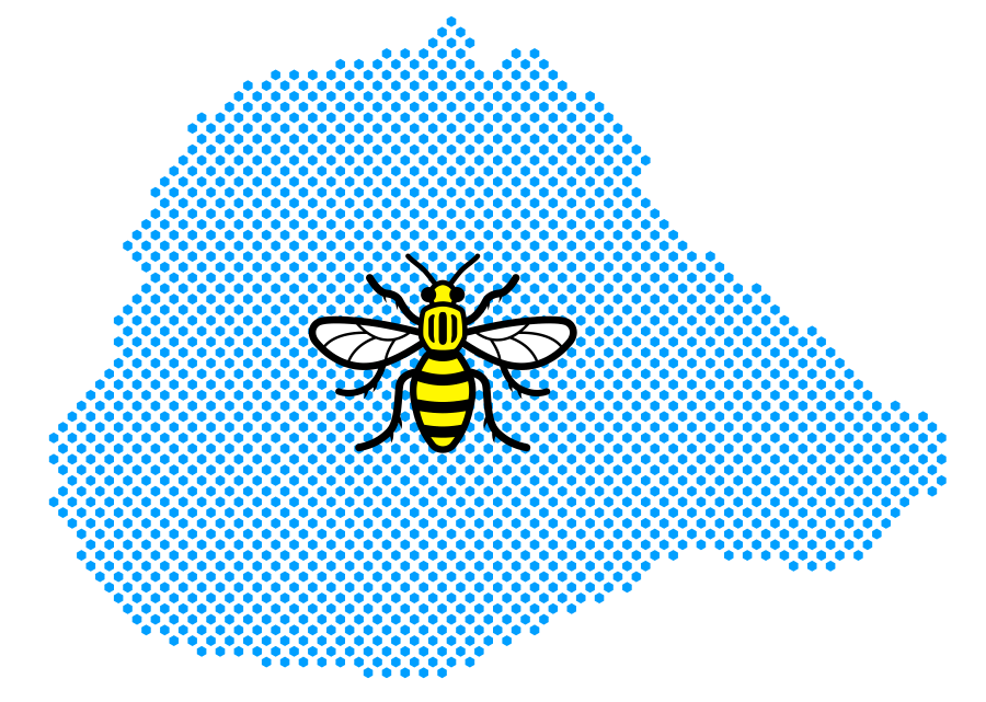 Manchester map and bee